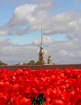 Экономичный тур в Санкт-Петербург на 3 дня для школьников